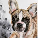 Ali Singleton Art - @paintedpetsbyali - Instagram
