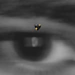 Mohammed Ali Skafi - @skafi_was_here - Instagram