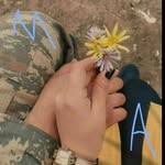 علی سلیمی - @alislimi1385mrnd19 - Instagram