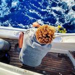 Ali Smiley / أحمد علي - @ali_smiley_diver - Instagram