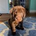 Ali Smithson - Facebook