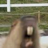 ali 😳 - @alisnell - TikTok