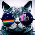 Ali Soboh - @fudgeboss - Instagram