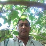 Ali sohani - @sohani1347 - Instagram