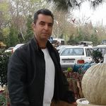 ali sohani - @sohani767 - Instagram