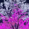 Sohi - @alisohi294 - TikTok