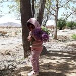 Ali Soleimany - @00ali6768 - Instagram