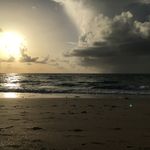 Ali Solomon - @ali8353791 - Instagram