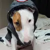 alisoofi8565 - @alisoofi8565 - TikTok