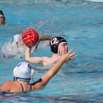 Aliso Polo - @aliso.polo.official - Instagram