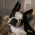 @__alisteele__ - Instagram