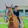 ✨alisultaniii✨🥀 - @alisultaniii - TikTok