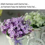jannat noor - @alisurti23 - Instagram