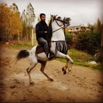 ali talebi - @ali_talebi7480 - Instagram
