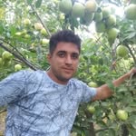 Ali.Talebi - @ali.talebi752 - Instagram