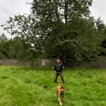 Ali Thomas - @alithomas6879 - Instagram