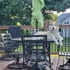 Ali Thomas - @ali.thomas8 - TikTok