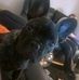 Ali Thomson - Facebook