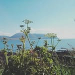 Ali Thomson - @whelk08 - Instagram
