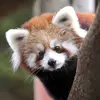 Ali Thomson - @ali.thomson2 - TikTok