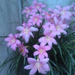 ali tofighi - @tofighi.ali - Instagram