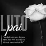 Aline Vogel - @aline_vogel22 - Instagram