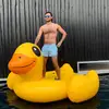 Ali Williamson - @aliw41 - TikTok