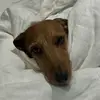 aliciawolfson6 - @aliciawolfson6 - TikTok
