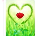 Aynal Ali - Facebook