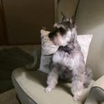 Alice J. Canale Stotts - @canalestotts - Instagram