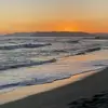 alice.caputo1 - @alice.caputo1 - TikTok