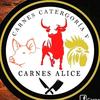 Alice Carnes - @alice.carnes - TikTok