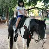 Alice Chacon Barbalho Simonetti  - @alicecbsimonetti - TikTok