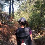Alice Chao - @alicechao - Instagram
