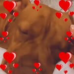 Alice Cottrell - @cottrell6242 - Instagram