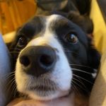 Alice Crowe - @aldepal789 - Instagram