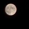Alice Crowe - @alice.crowe8 - TikTok