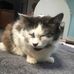 Alice Devine - Facebook