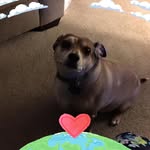 Martha Alice Dickey-Stidham - @marthastidham - Instagram