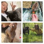 Alice dixon - @alice_dixon_123_ - Instagram