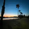 Alicecloseonly - @alice.rdodds - TikTok