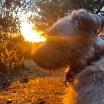 Alicia Doering - @adventures4me831 - Instagram