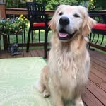 Alice Dover - @alice.dover.94064 - Instagram