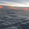 Alice Dovera - @alicedovera59 - TikTok