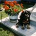 Alice Dowd - Facebook