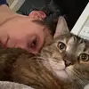 Drew’s Cat Alice - @drewandalice - TikTok
