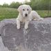 Alice Duffin - Facebook
