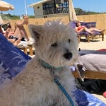 Alice Dufour - @dufour5495 - Instagram