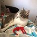 Alice Duke - Facebook