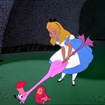Alice L Elmore - @aelmore226 - Instagram